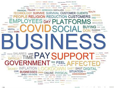 Mental Health Survey of Social Entrepreneurs During COVID-19: A Study From Pakistan